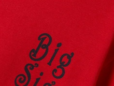 Name It t-shirt salsa med storesøster print